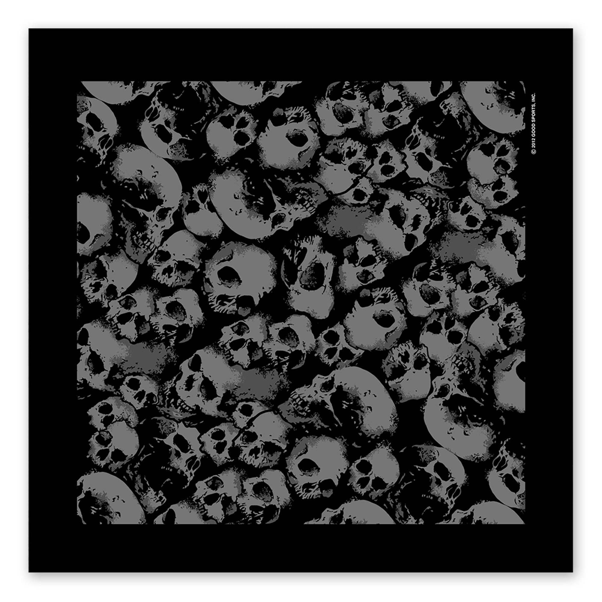 Hot Leathers BAB1063 Ancient Skulls Bandana