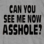 Hot Leathers Can You See Me Now Mens Gray SS T-shirt GMD1541